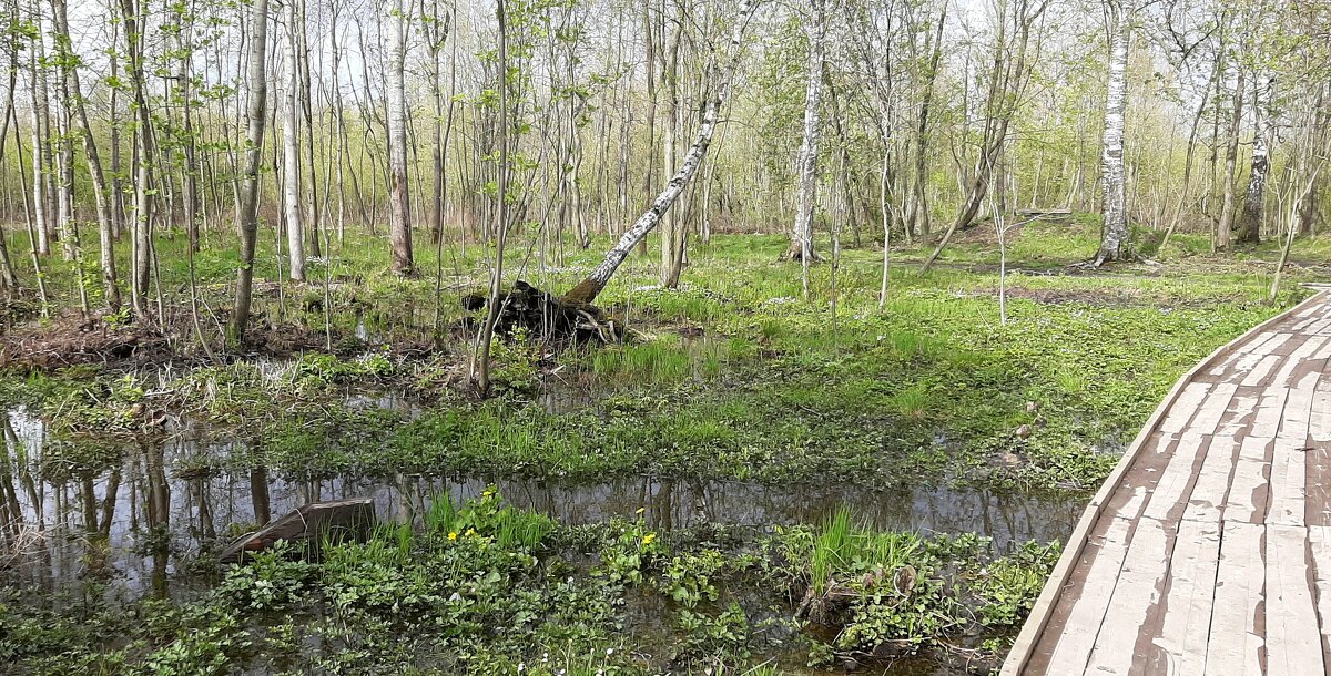 Май - Наталья Герасимова