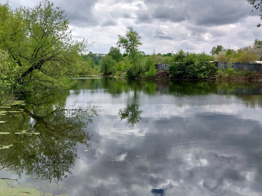 Пруд в селе Галенчине - Tarka Пруд в селе Галенчине - Tarka