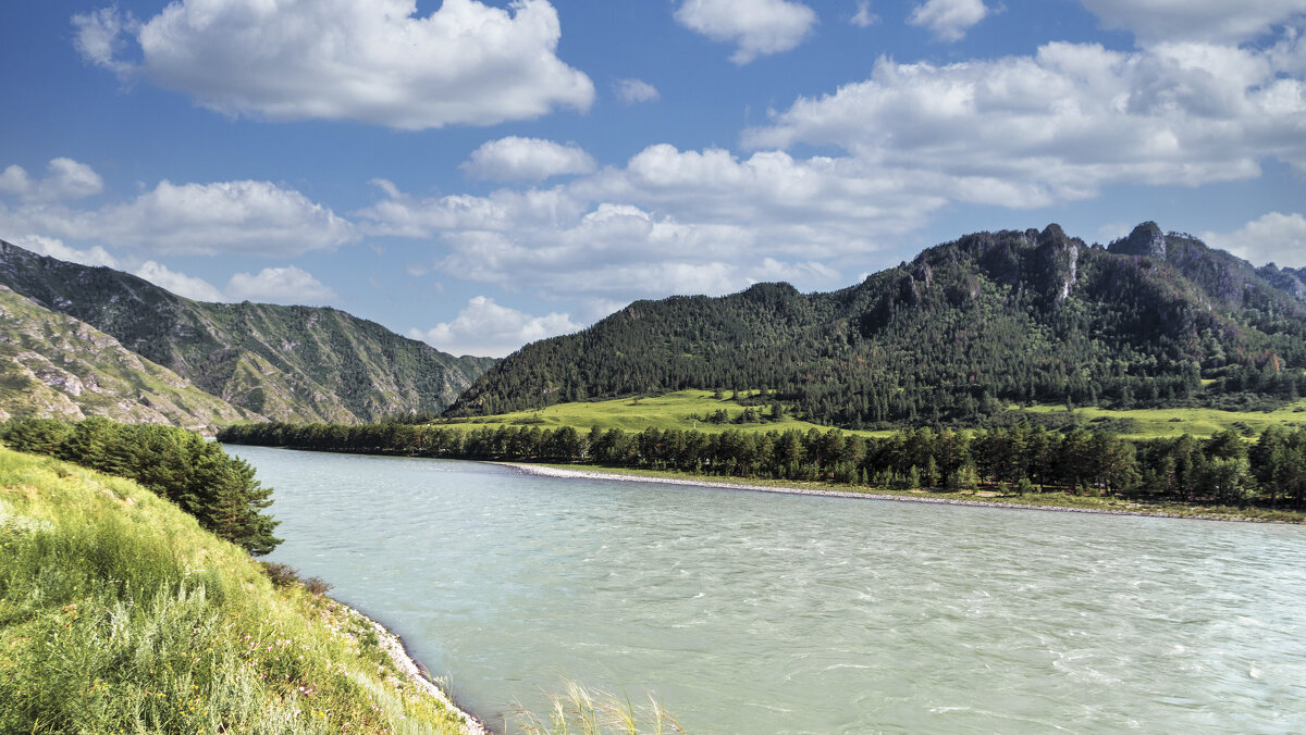 Алтай - Андрей Неуймин