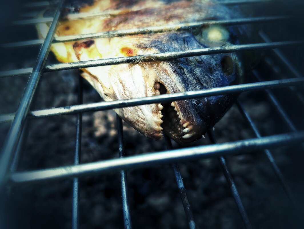 Дорадо - Руслан 