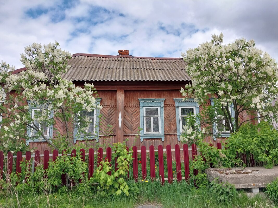 Домик окнами в сад - Tarka Домик окнами в сад - Tarka