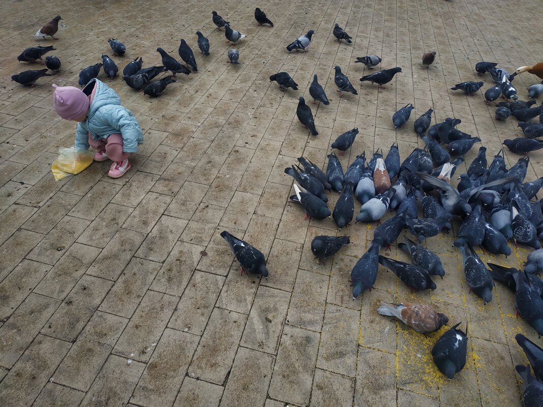 И всем хорошо - и ребенку, и птичкам, и снимающему, и смотрящим (надеюсь) - Андрей Лукьянов И всем хорошо - и ребенку, и птичкам, и снимающему, и смотрящим (надеюсь) - Андрей Лукьянов