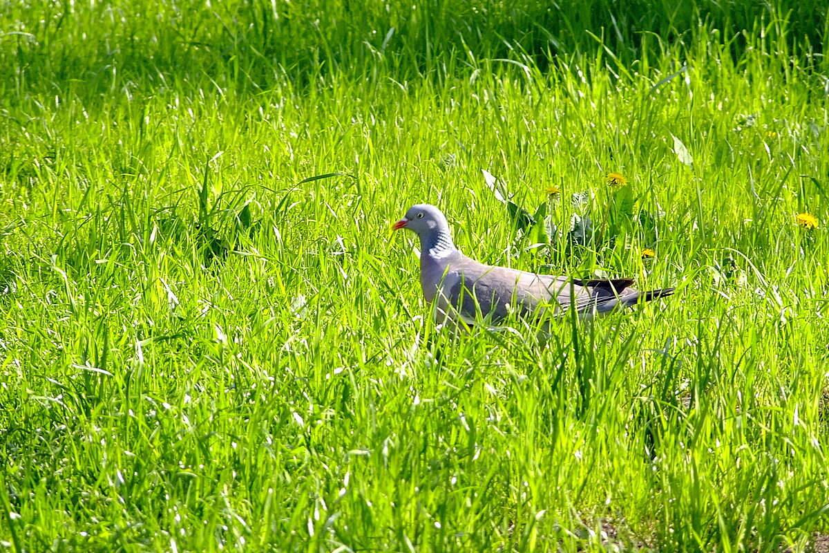 * * * - Фёдор Меркурьев * * * - Фёдор Меркурьев
