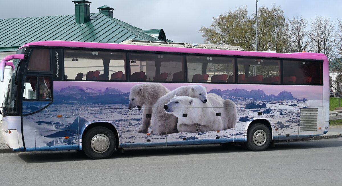 Мишки) - Митяй Митрич