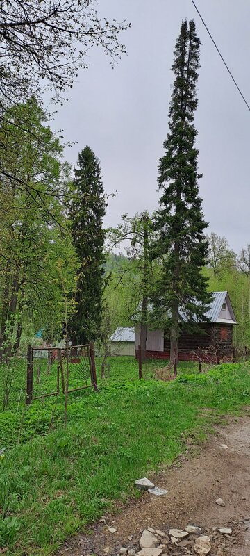 ,,, - Сергей Тимоновский