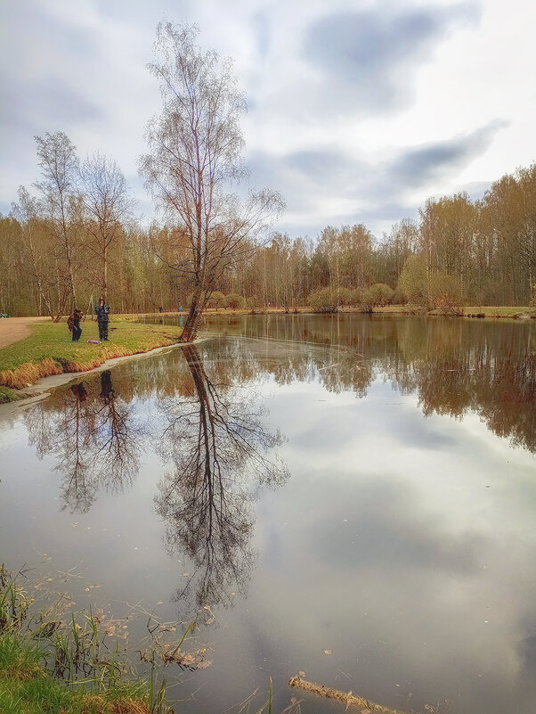 Парк Сосновка. Весна. - Лилия * Парк Сосновка. Весна. - Лилия *