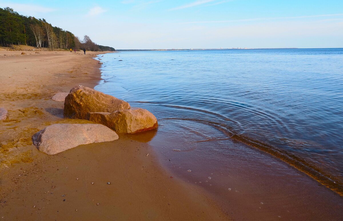 На берегу Финского залива (Репино) - Магомед .