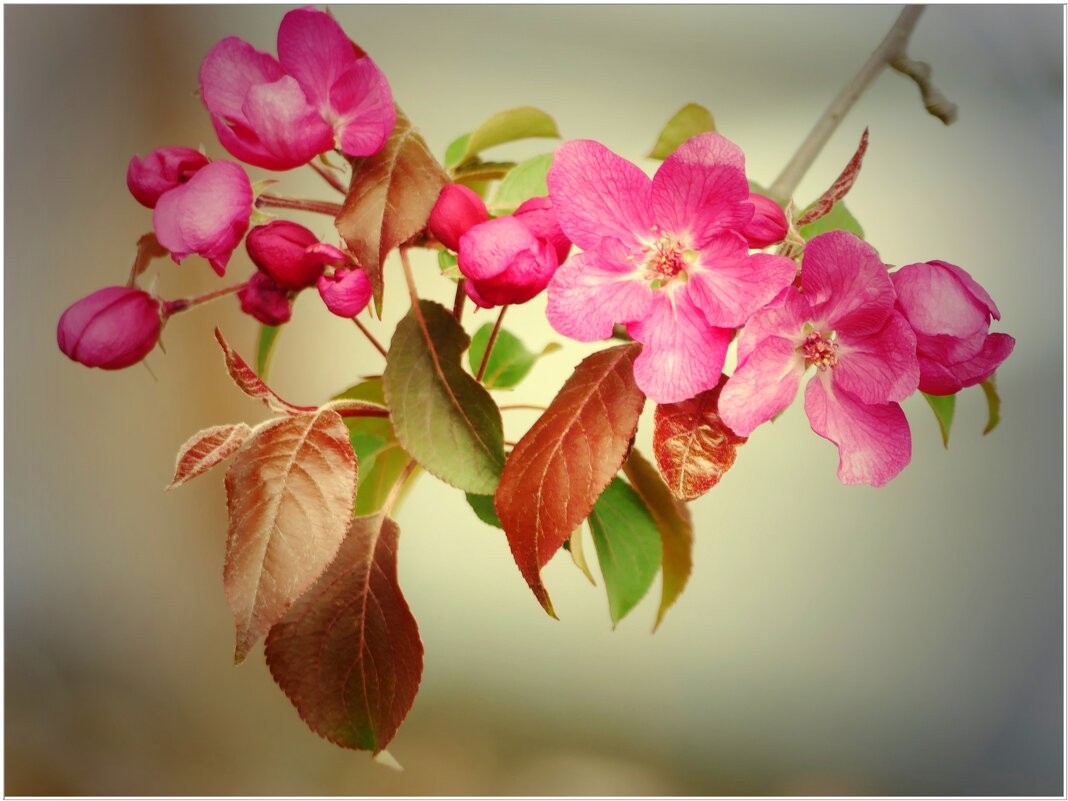 ЭТЮД... - Elvira E. ЭТЮД... - Elvira E.