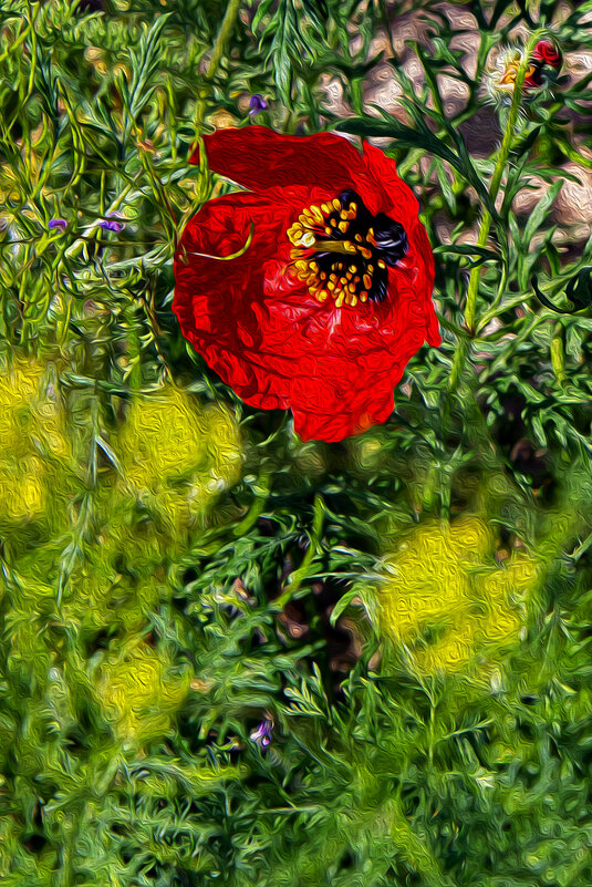 Мак - Анатолий Чикчирный