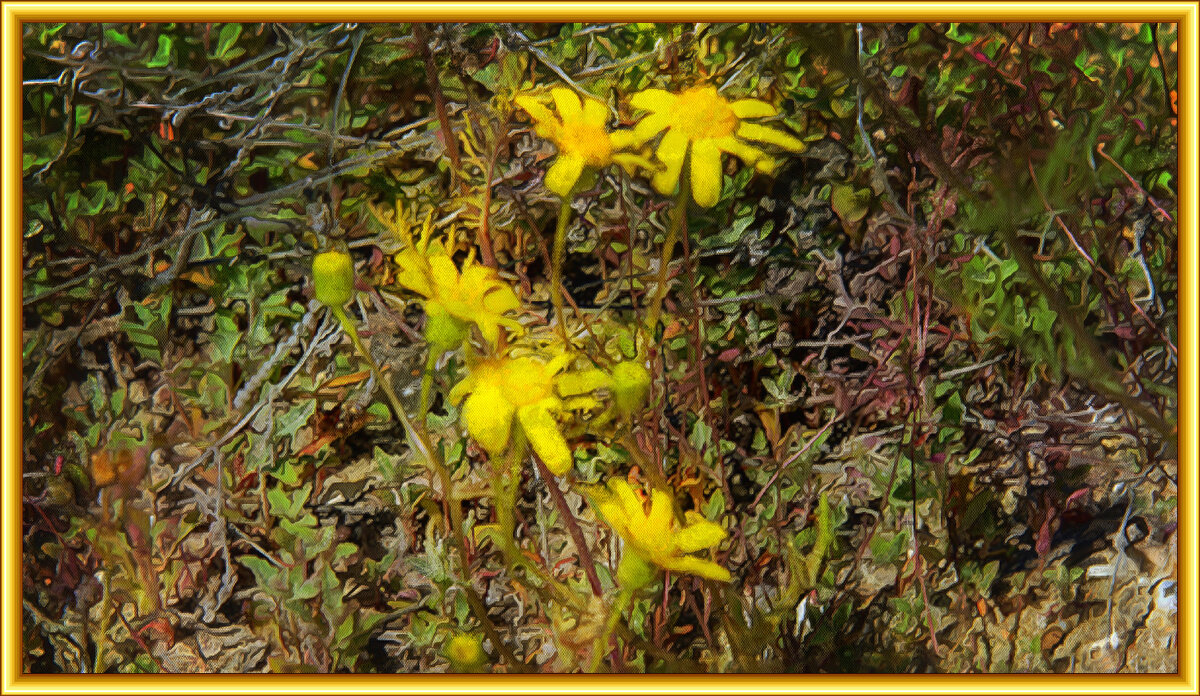 Цветы - Анатолий Чикчирный