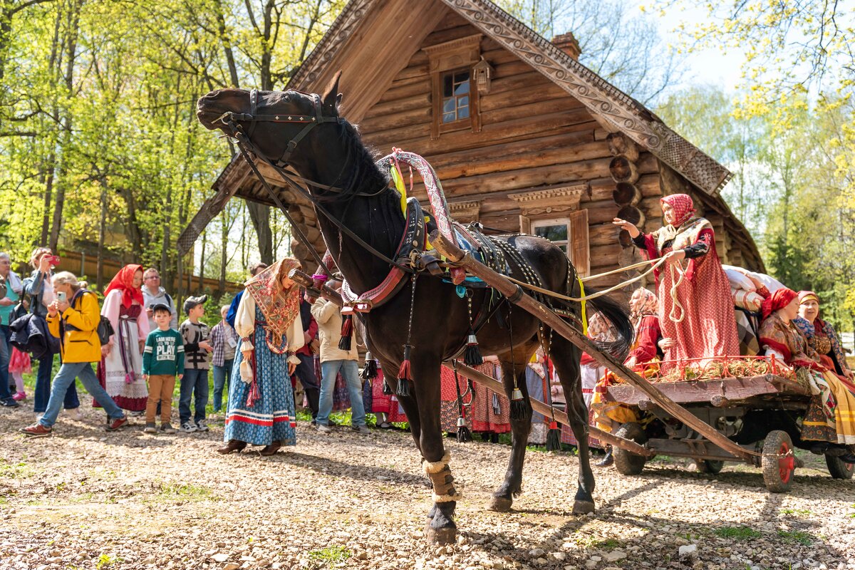 Красная Горка - Ольга Александрова