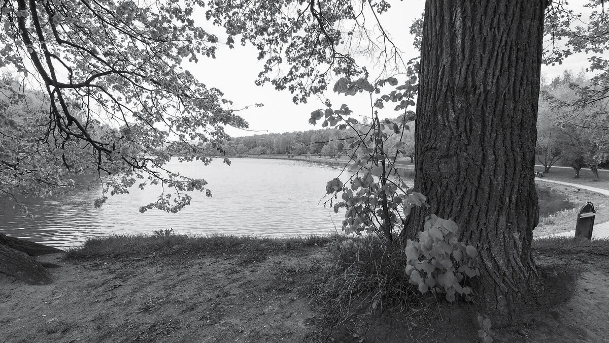 ***** - юрий поляков