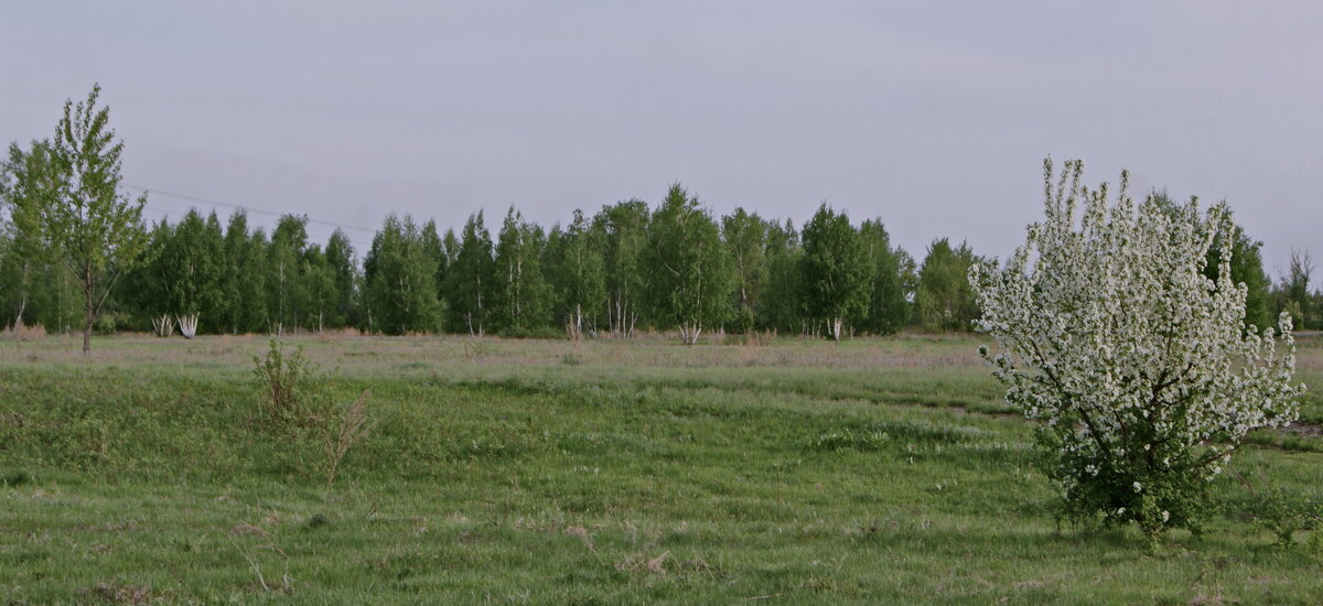 Май на дворе. - сергей ермошкин Май на дворе. - сергей ермошкин