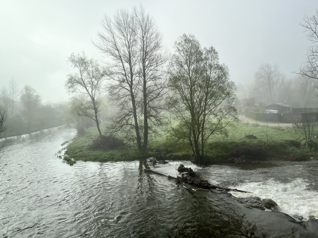 Мир Природы / Natural World" - "The Natural World" Александер