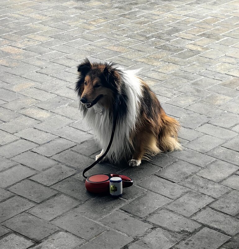 Ожидание - Александръ Ожидание - Александръ