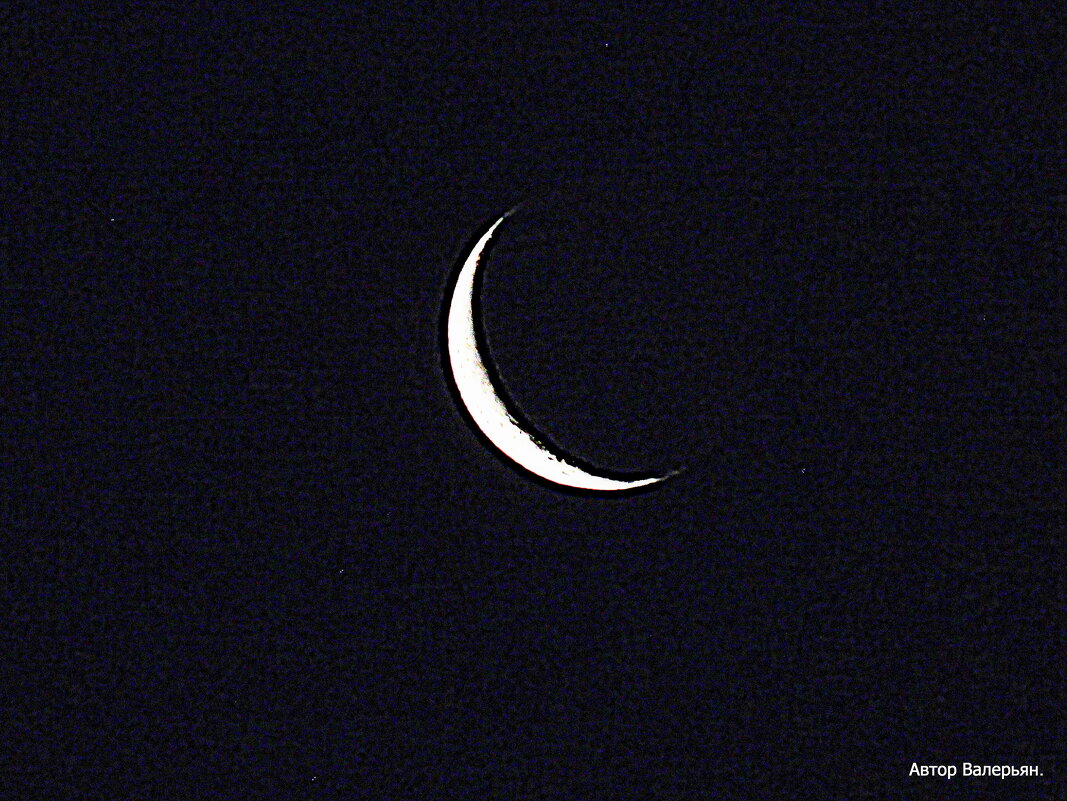 Лунный серп. - Валерьян Лунный серп. - Валерьян