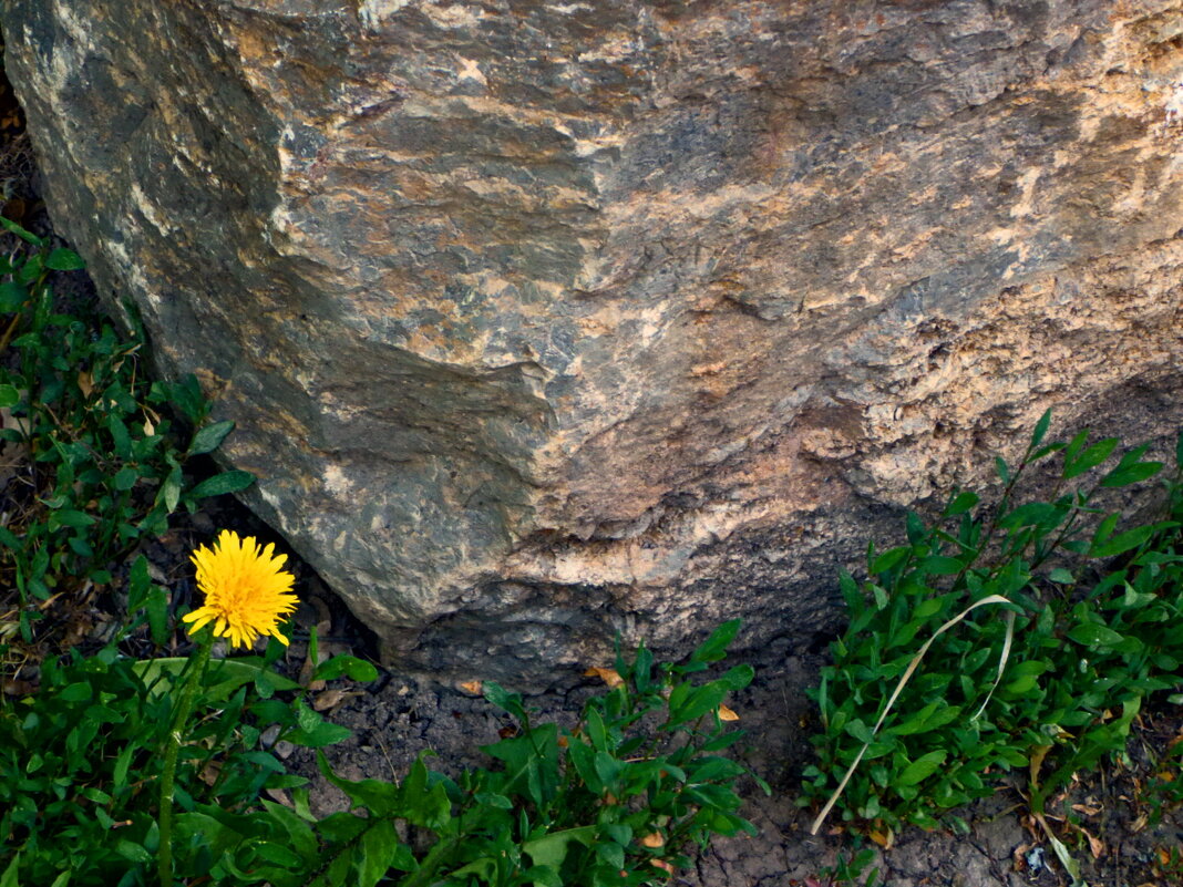 Весенние зарисовки 132 - Алексей Кузнецов