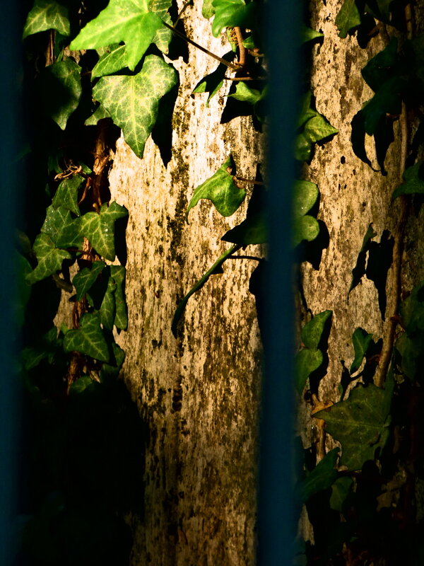 Весенние зарисовки 135 - Алексей Кузнецов