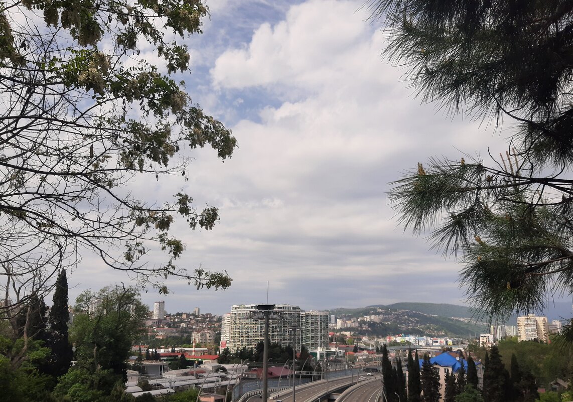 Вид на город - Tata Wolf Вид на город - Tata Wolf