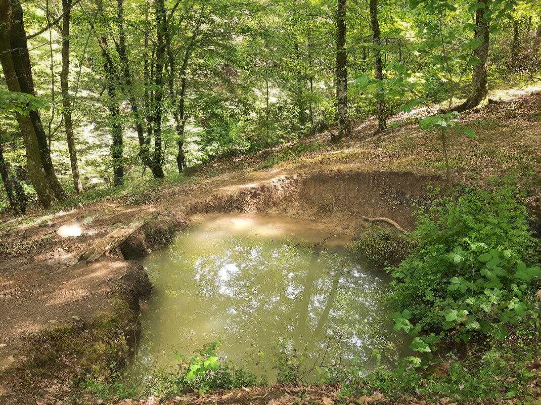 Озерцо - Tata Wolf Озерцо - Tata Wolf