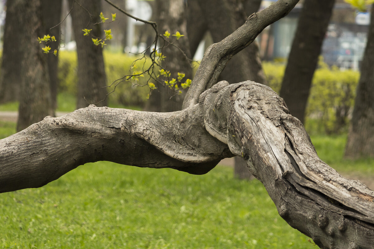 Интересное в простом - Алексей Булак Интересное в простом - Алексей Булак