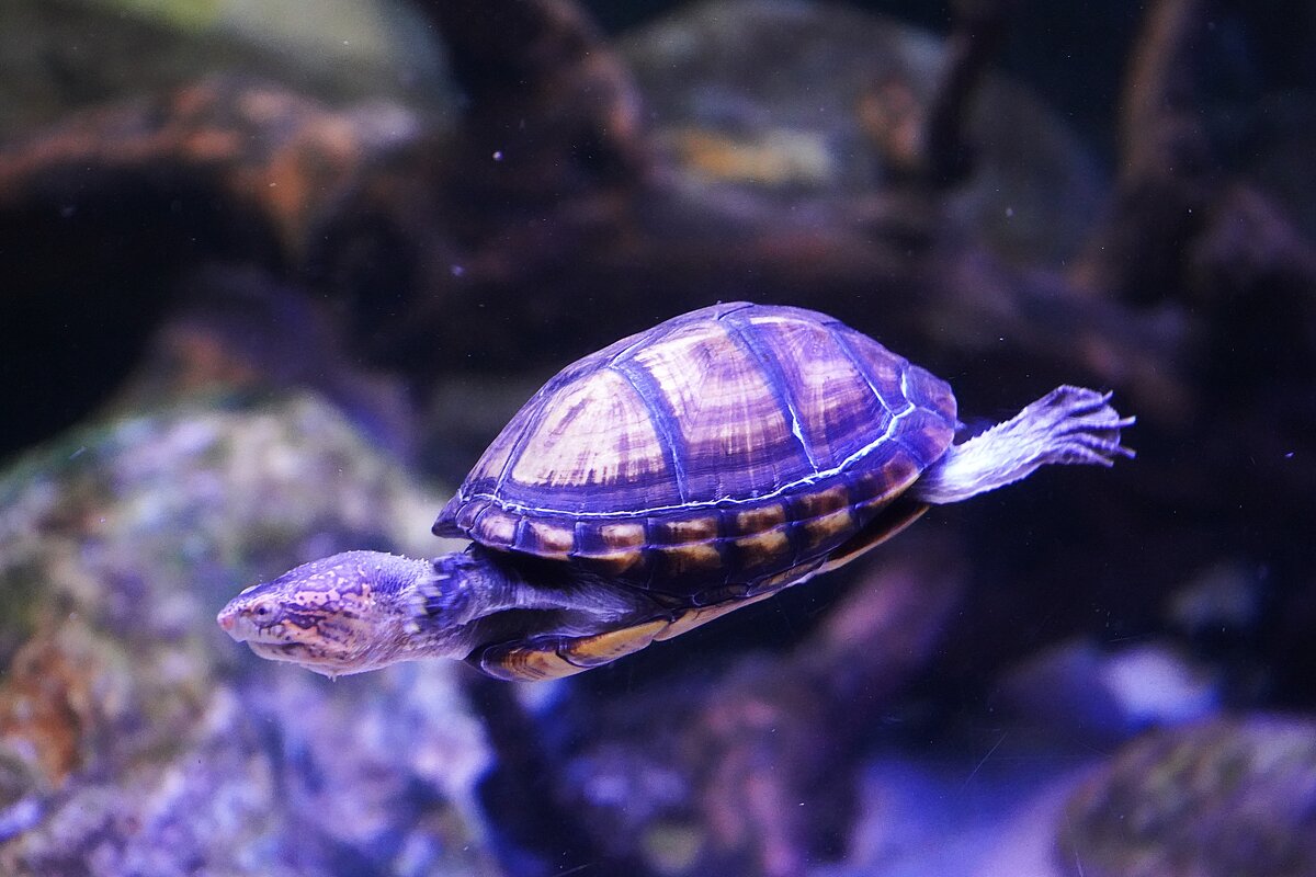 В Москвариуме - Татьяна Тюменка