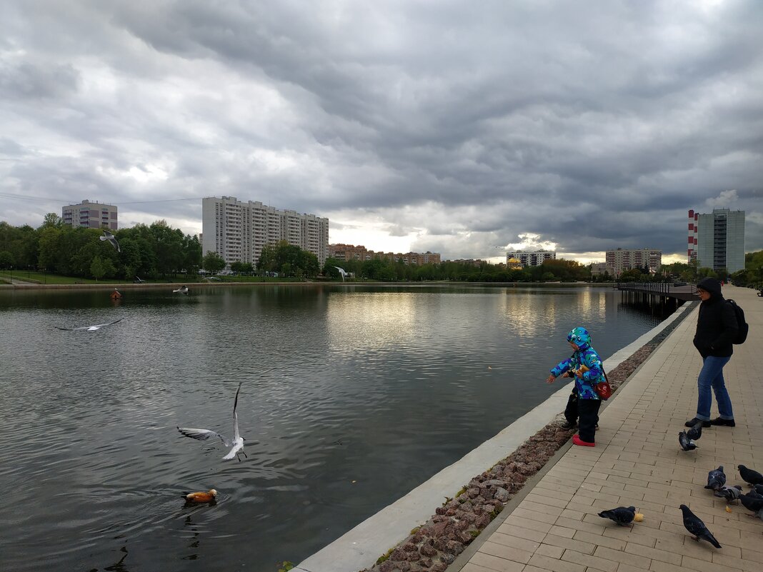 * * * - Андрей Лукьянов