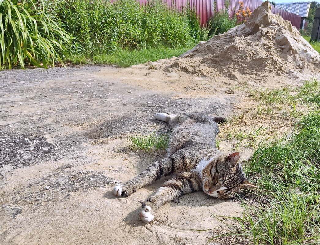 Песок не продаётся - самому нужен. - Валерий Судачок Песок не продаётся - самому нужен. - Валерий Судачок