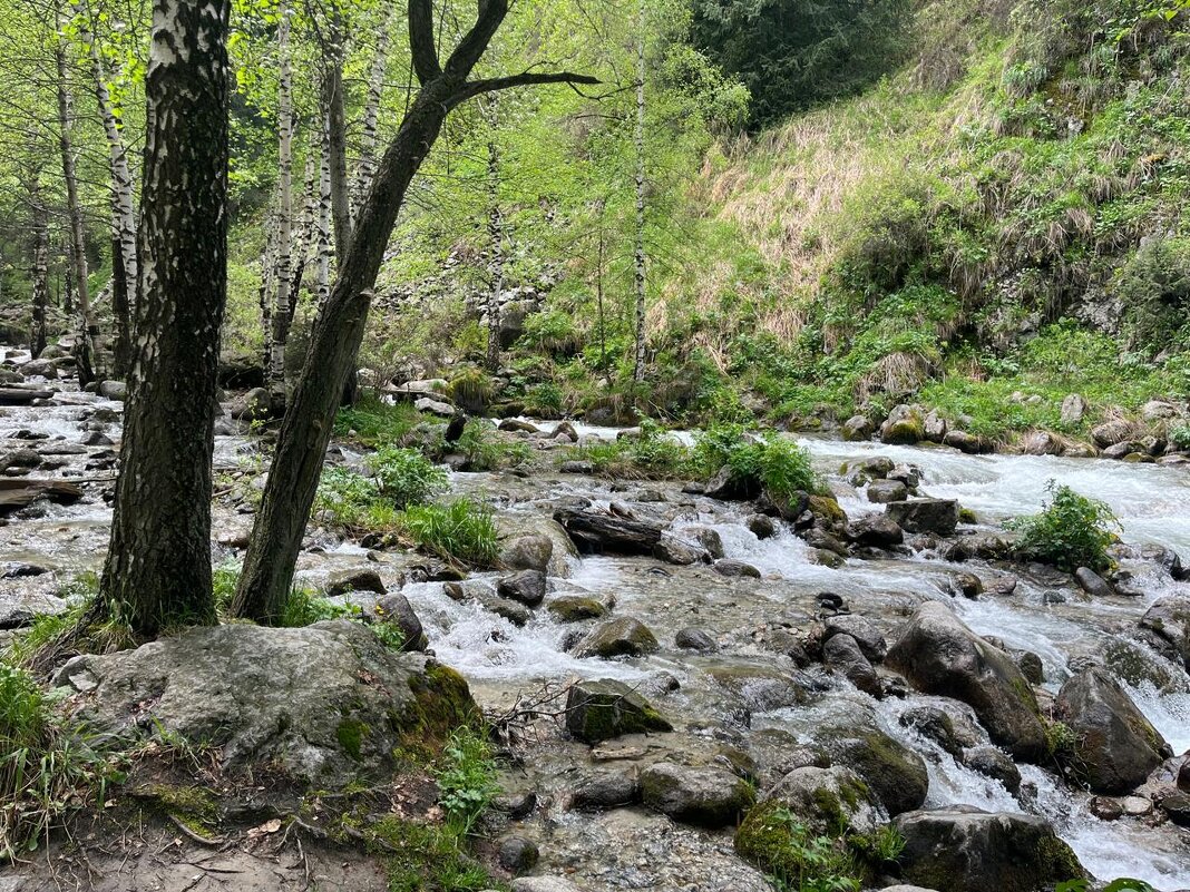 Река шумит - Георгиевич Река шумит - Георгиевич