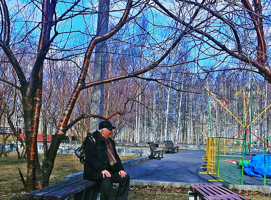 Май...Весенним утром в сквере Победы! - Владимир 