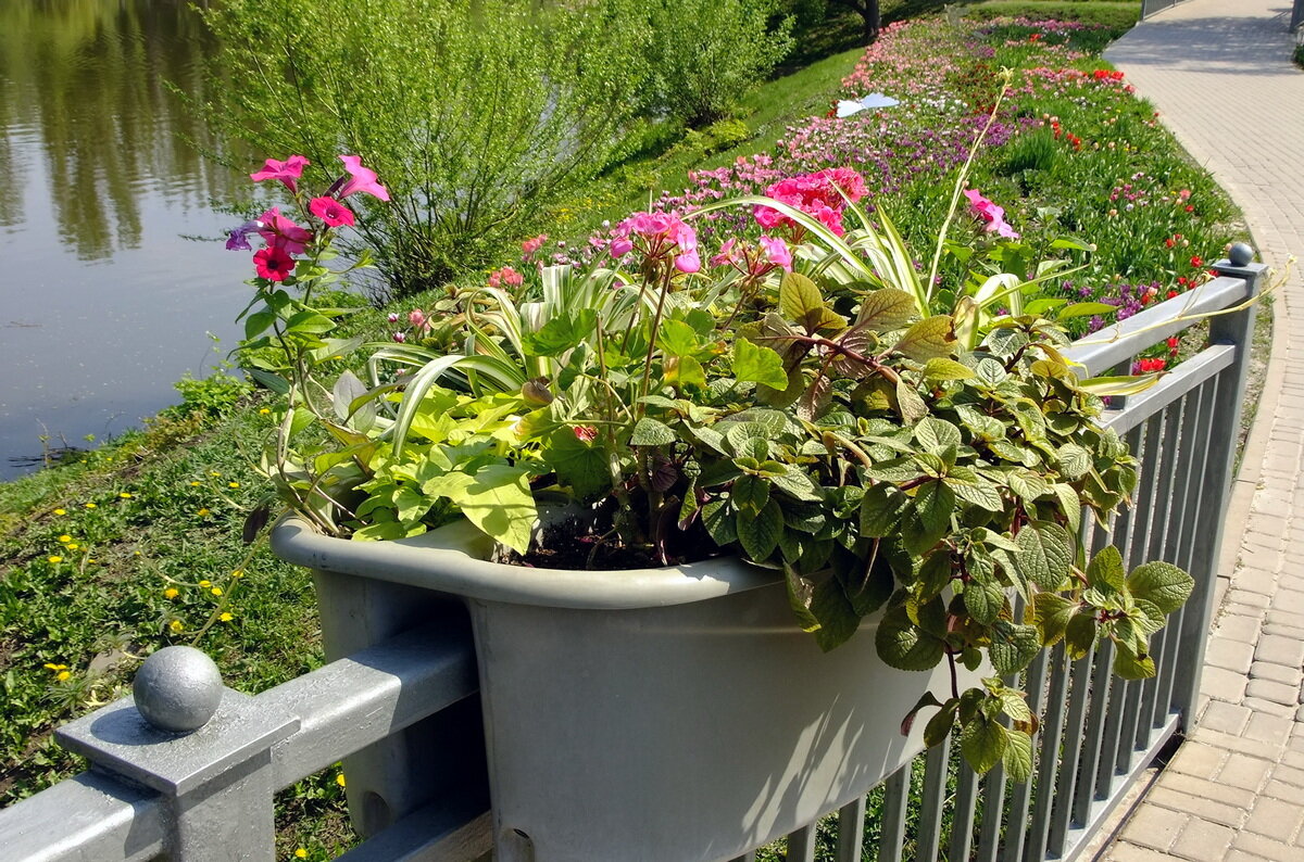 * * * - Фёдор Меркурьев * * * - Фёдор Меркурьев