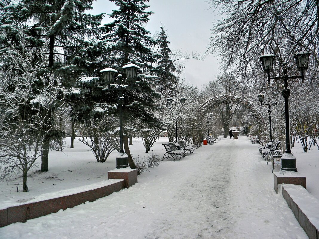 Мой город - Роман Савоцкий