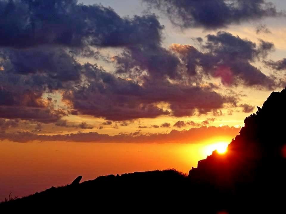 НАШИ ПРОГУЛКИ. - Виктор Осипчук НАШИ ПРОГУЛКИ. - Виктор Осипчук