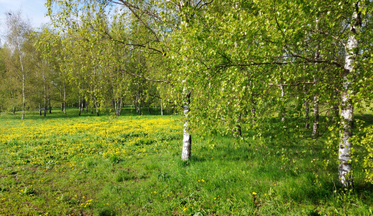 Май. - Владимир Безбородов
