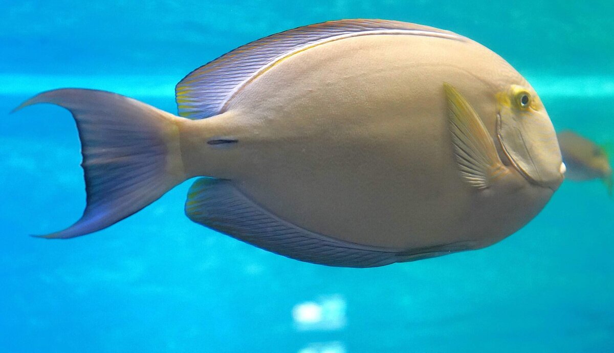 В Москвариуме - Татьяна Тюменка