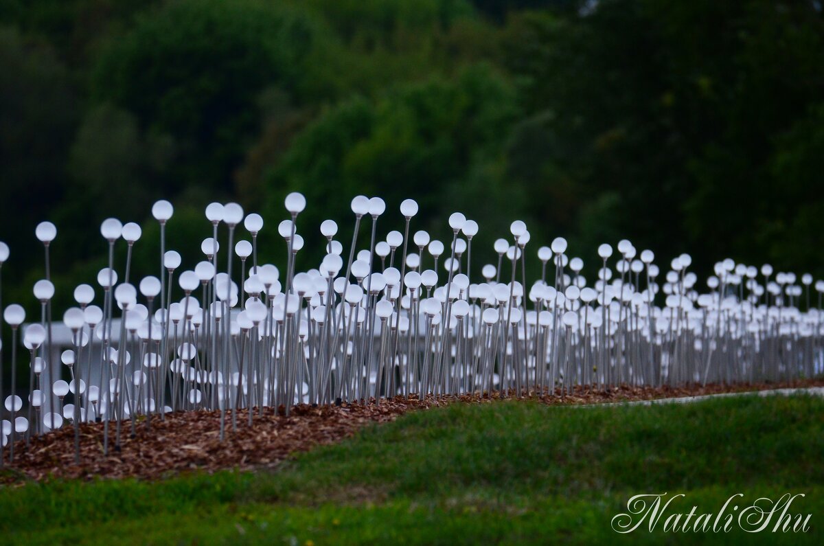 Будет свет. - Наталья Вязигина