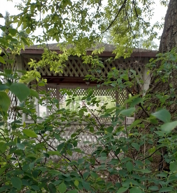 *** - Валентина Береснева