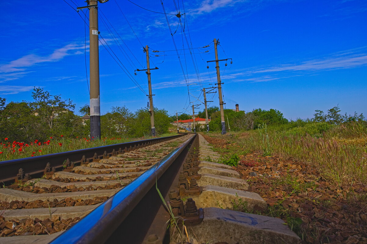 Есть только один путь ,это твой путь !!! - Giant Tao /