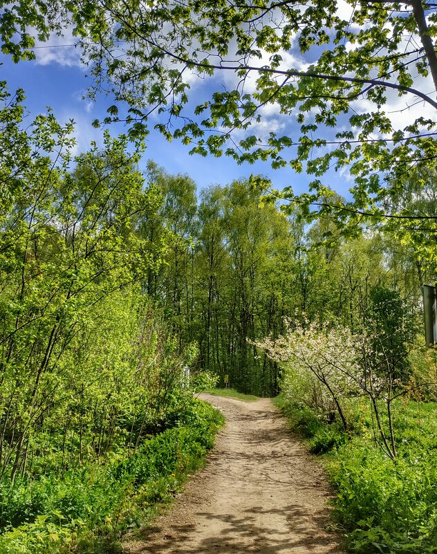 весенний день - Валентина. .