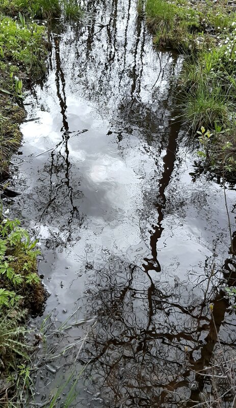 Отражение - Наталья Герасимова Отражение - Наталья Герасимова
