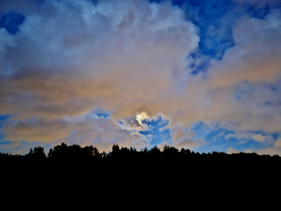 Лунная ночь - Николай (dr.Zlo) Кузнецов