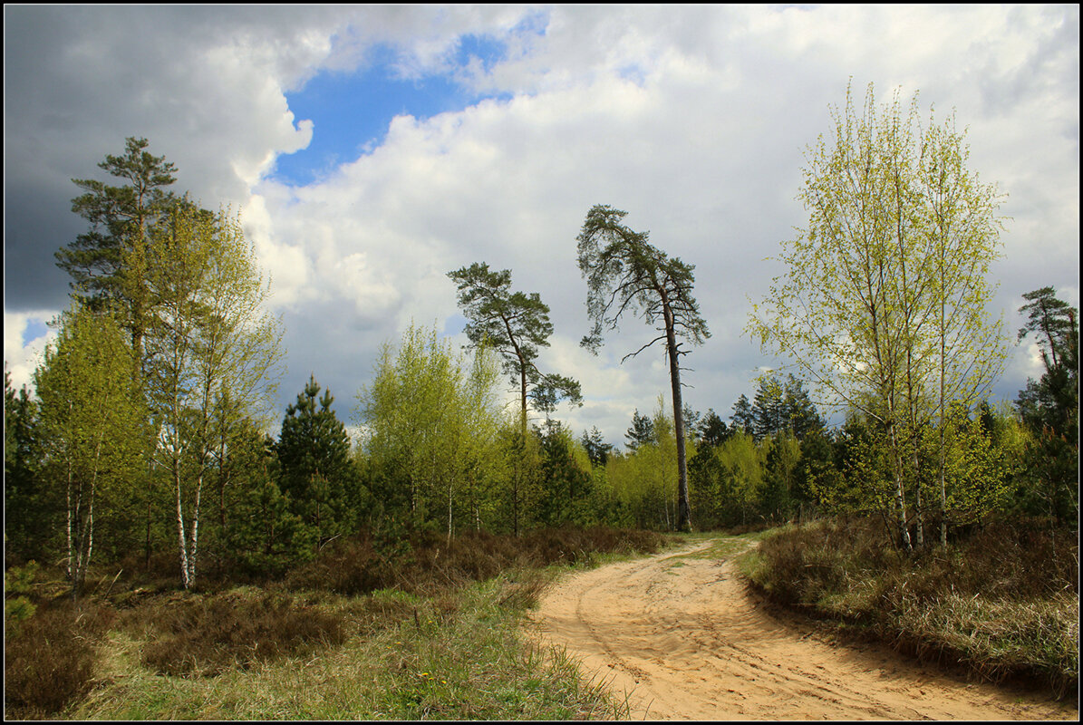 Кажется дождь собирается ! - Aleksandr Gal Кажется дождь собирается ! - Aleksandr Gal