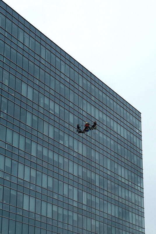 Окномои - Лютый Дровосек Окномои - Лютый Дровосек