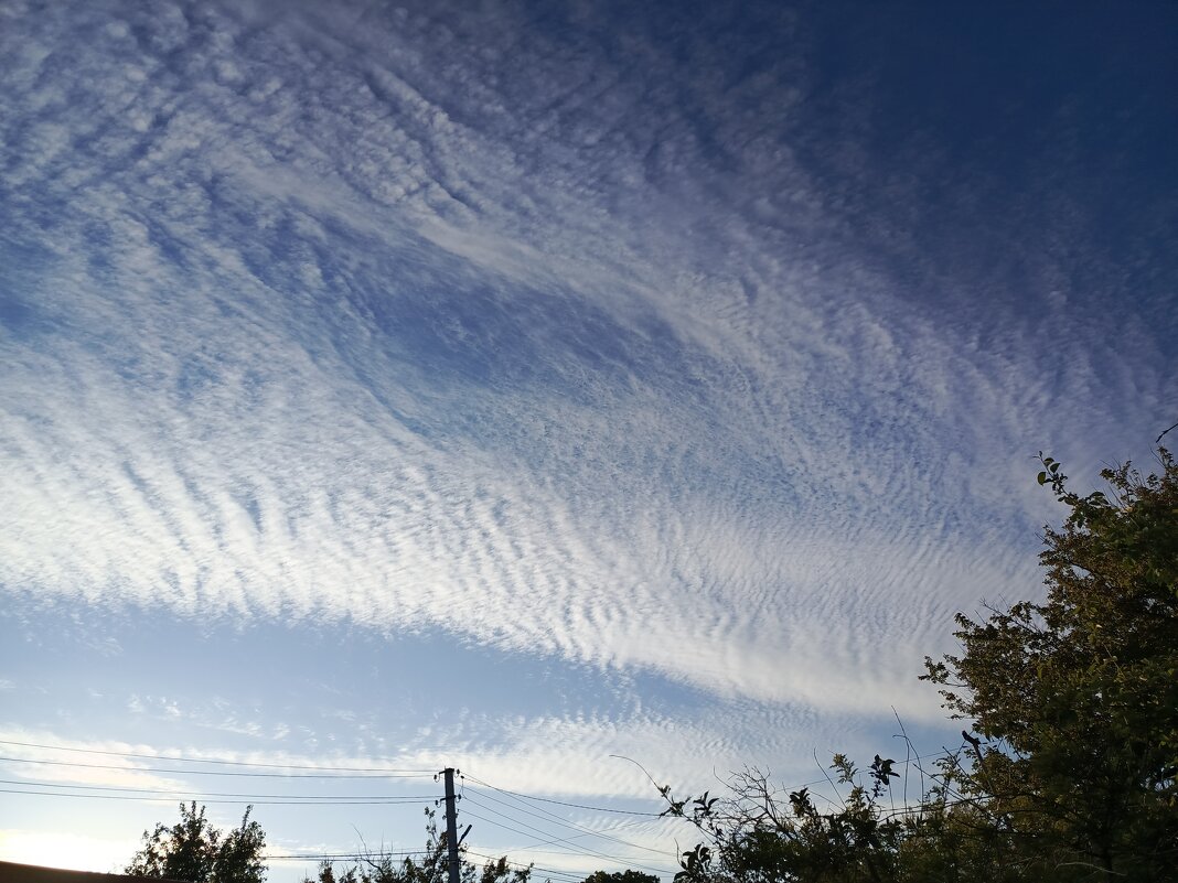 Вечер 13 мая - Татьяна Пальчикова