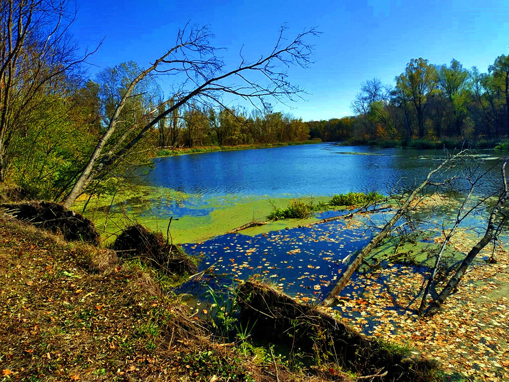 ПОДМЫТЫЙ БЕРЕГ - Анатолий Малобродский ПОДМЫТЫЙ БЕРЕГ - Анатолий Малобродский