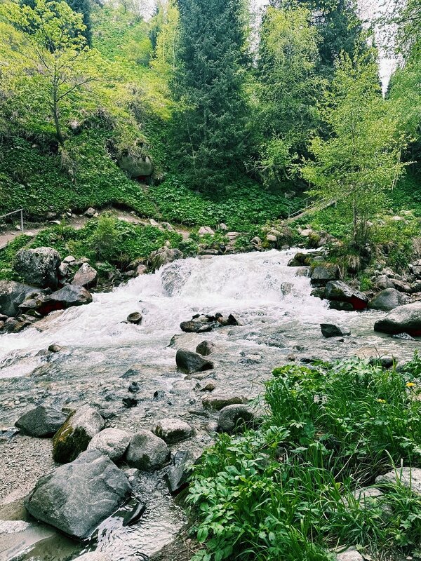 Горная река - Георгиевич Горная река - Георгиевич