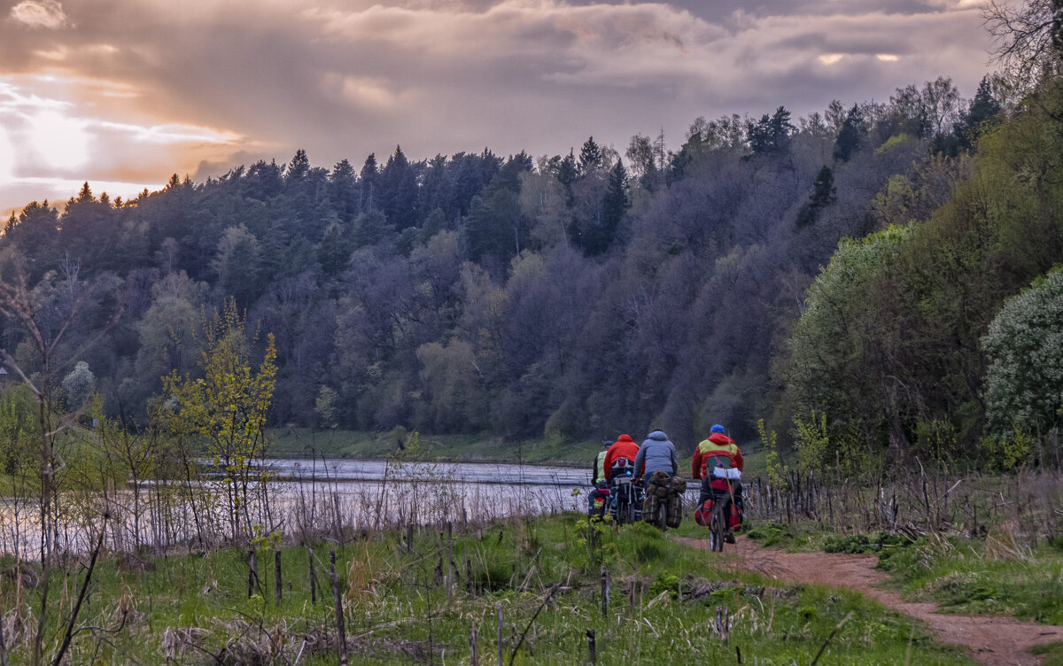 Вдоль реки - Сергей Цветков