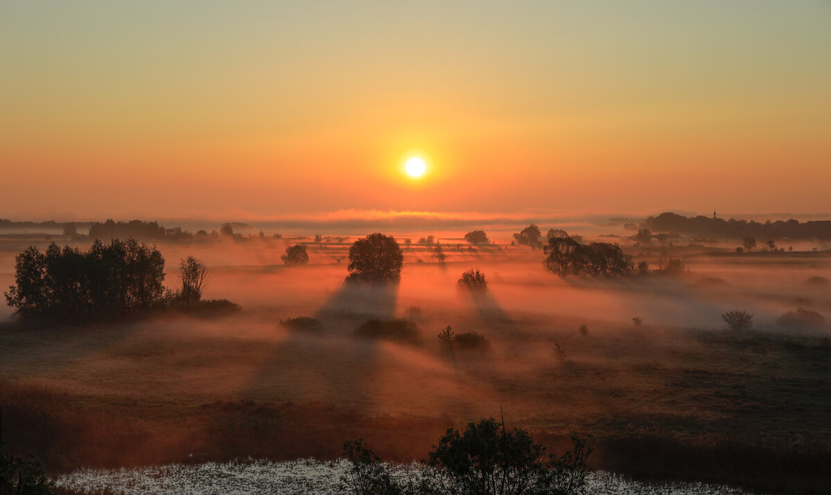 ..... - Вадим Виловатый ..... - Вадим Виловатый