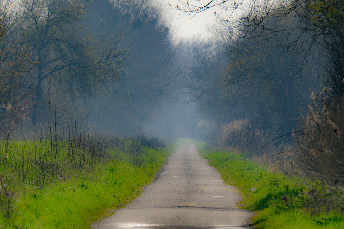 Дорожка - Георгий А Дорожка - Георгий А