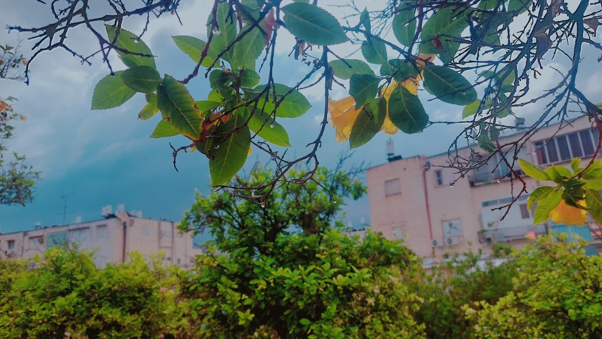 13 ОПЕН (4) - OPEN WAYS ALL 13 ОПЕН (4) - OPEN WAYS ALL